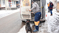 Köpeklerini sokağa bırakıyorlar: 14 Ocak yaklaştıkça sayı artıyor