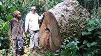 Beş bin yıllık avcı kabile: Kamerun’da Pigmeler yaşadıkları ormanlardan zorla çıkartılıyor