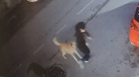 Yine başıboş sokak köpeği dehşeti: Yolda yürüyen 15 yaşındaki çocuğa saldırdılar