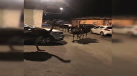 Çin’de çiftlikten kaçan 80 devekuşu sokakları birbirine kattı