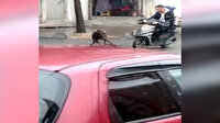 Sokakta pitbull cinsi köpeğin kovaladığı kurye kaza yaptı