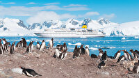 Antarktika’nın başı istilacılarla dertte: Gemilere yapışan yengeç ve midyeler tehlike arz ediyor