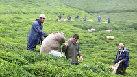 120 ülkeye Türk çayı sattık