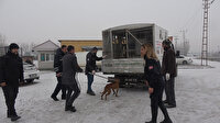 Okul bahçesinde dolaşıyordu: Sahipsiz pitbull yakalandı