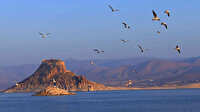 Denizsiz kentin ada kalesi: Mavi suların ortasındaki Pertek ziyaretçilerini bekliyor