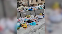 Küçükçekmece'de toplanmayan çöpler mahalleliyi isyan ettirdi