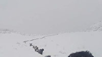 Kar bastırınca 750 küçük baş hayvan metrelerce sahiplerini takip ettiler