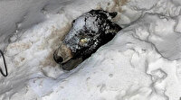 İnanılmaz görüntü: Eşeğini donmak üzereyken kar yığınından kurtardı