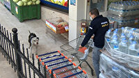 Ataşehir'de pitbull paniği