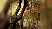 Esenler'de camına kartopu atılan adamla gençler arasında tartışma çıktı
