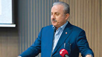 TBMM Başkanı Mustafa Şentop: Millet-devlet birliğinden güç doğar