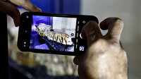 Peru'da 36 milyon yıllık Basilosaurus fosili bulundu