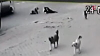 Anne ve oğul köpekten kaçarken aracın altında kalmaktan son anda kurtuldu