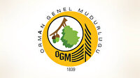 Orman Genel Müdürlüğü'ne 5 bin geçici işçi alınacak! Başvurular ne zaman başlıyor?