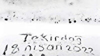 Trakya'nın yükseklerine kar yağdı