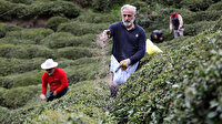 204 bin üretici çay sezonuna hazırlanıyor