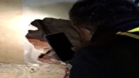 İzmit'te duvarı kırarak yavru kedileri kurtardılar