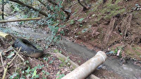 İstanbul’un derelerinden pislik akıyor: Halk sağlığı büyük tehlikede