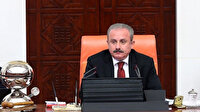 HDP'li Paylan'ın 1915 olayları ile ilgili skandal teklifi iade edildi