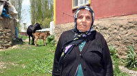 Tek geçim kaynağı olan ineği ölen kadına bakanlıktan sürpriz