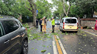 Üsküdar'da şiddetli rüzgar: Ağaç seyir halindeki araçların üzerine devrildi