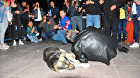 Haluk Levent sokak köpeğiyle birlikte yere uzanarak şarkı söyledi