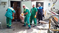 Bursa'da soğuk hava deposuna baskın: 3 ton et imha edildi