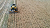 Tarım ÜFE'deki artış aylık bazda yüzde 16'yı aştı