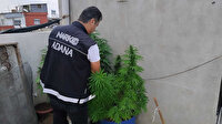 Adana'da uyuşturucu operasyonunda 15 şüpheli yakalandı