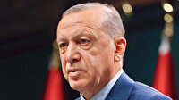 Ormanları yeniden ihya edeceğiz: Ekiplere çalışmalara için teşekkür