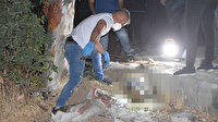 Bodrum'da vahşi cinayet: Kum dolu çuvalın içinden ceset çıktı