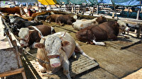 Kurban kesim yerleri için başvurular başladı