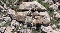 Tunceli'de teröristlerin araziye tuzakladığı patlayıcı imha edildi