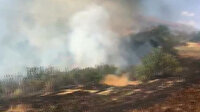 Bingöl'de 3 köyde ağaçlık alanlarda çıkan yangınlar büyümeden söndürüldü