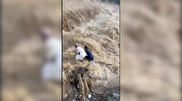 Umman'da şelalede video çeken turistler sel sularının gelmesiyle dehşeti yaşadı