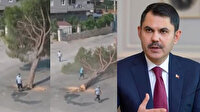 Bakan Kurum'dan İzmir Büyükşehir Belediyesi'ne tepki: Lafta en 'çevreci' kendileri ama iş icraata gelince ağaçlara kıyıyorlar
