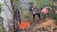 Tunceli'de ormanda örtü yangını söndürüldü
