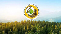 Orman Genel Müdürlüğü (OGM) 338 sözleşmeli personel alacak