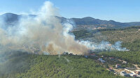 İzmir’de orman yangını