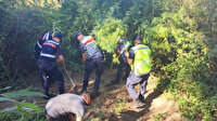 Jandarma kokuyu fark edince ortaya çıktı: Hepsine el konuldu