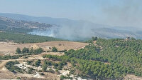 Manisa'da orman yangını