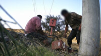 Foto kapanlara yaban hayatı değil hırsızlar yakalandı