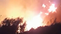 Antalya Kaş'ta ormanlık alanda yangın