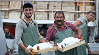 Düzce'de palamut bolluğu balıkçıların yüzünü güldürdü: 2-3 saatte 450 ton palamut yakaladılar