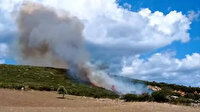Çanakkale'de orman yangını: Ekipler sevk edildi