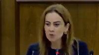 KKTC vekili Doğuş Derya Yunan ağzıyla konuştu: Türkiye ve Erdoğan’ı hedef aldı