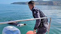 Van Gölü'nde boğulmak üzere olan danayı dalgıç polisler kurtardı