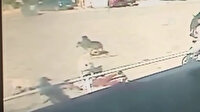 Edirne'de sahipsiz köpeklerin saldırdığı çocuk ağır yaralandı