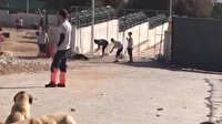 Türkiye'yi sarsan görüntü: Konya'daki vahşette iki kişi tutuklandı