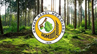 Orman Genel Müdürlüğü (OGM) işçi alımı ilanı yayınlandı! Başvuru nasıl yapılacak?